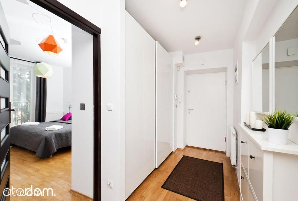 Cozy&big rooms in Old Town Krakau Buitenkant foto